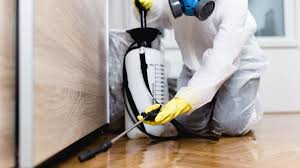 Best Fumigation Services  in Adelanto, CA